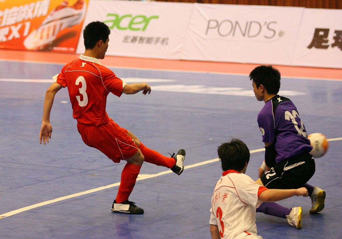 不伤脾胃的生肖，一种文化符号与人体健康的融合解读-不伤脾胃是什么生肖