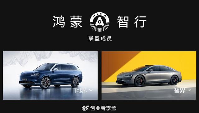 洞庭湖畔的麋鹿，面对涨水的生存挑战与智慧应对-洞庭湖涨水栖息地被淹 麋鹿上岸躲避